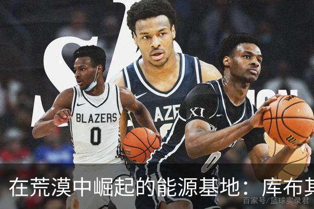 在荒漠中崛起的能源基地：库布其沙漠的变革之路