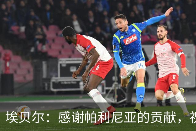 埃贝尔：感谢帕利尼亚的贡献，祝福他在新征程上顺利